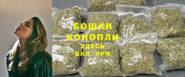 стафф Верхний Тагил