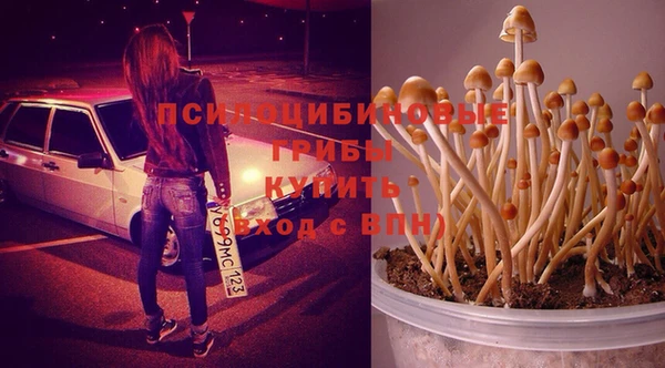 стафф Верхний Тагил