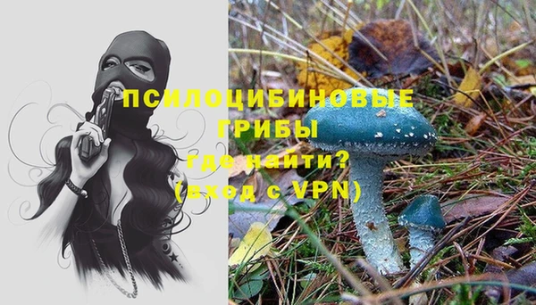 стафф Верхний Тагил