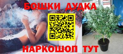 шишки Северобайкальск