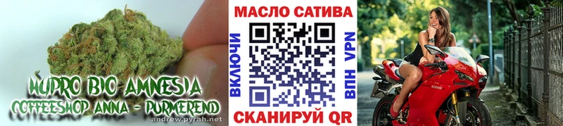 наркота  Рузаевка  ОМГ ОМГ ТОР  Дистиллят ТГК концентрат 