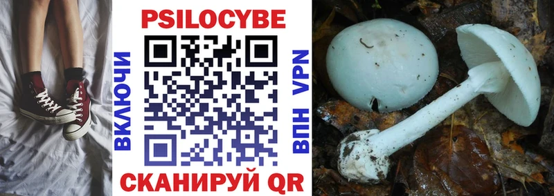 Галлюциногенные грибы прущие грибы  Рузаевка 