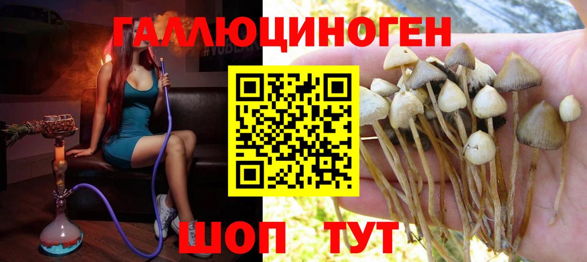 Псилоцибиновые грибы мицелий  Вход с VPN  Псилоцибиновые грибы Magic Shrooms  где можно купить наркотик  Рузаевка 
